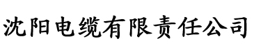 理论片影视在线电缆厂logo